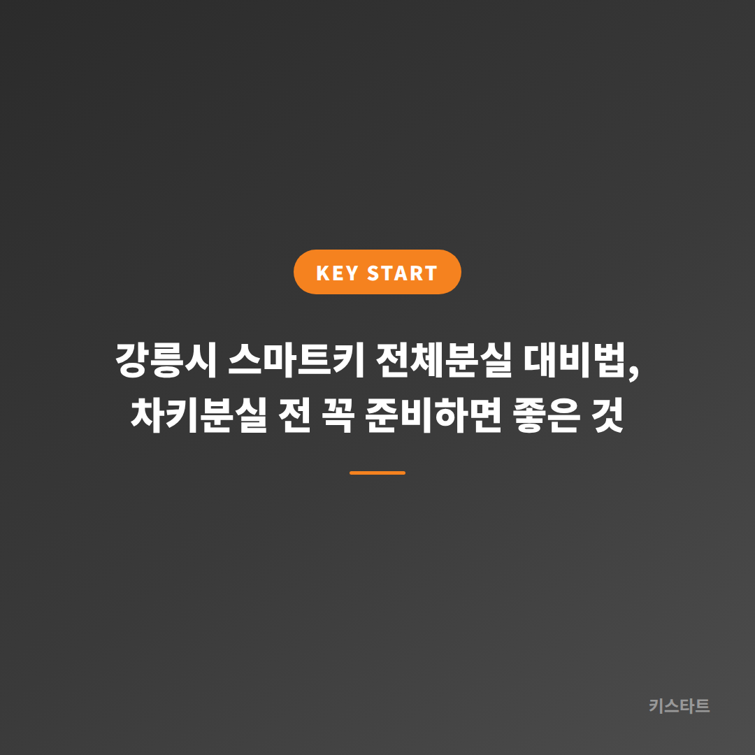 강릉시 스마트키 전체분실 대비법, 차키분실 전 꼭 준비하면 좋은 것