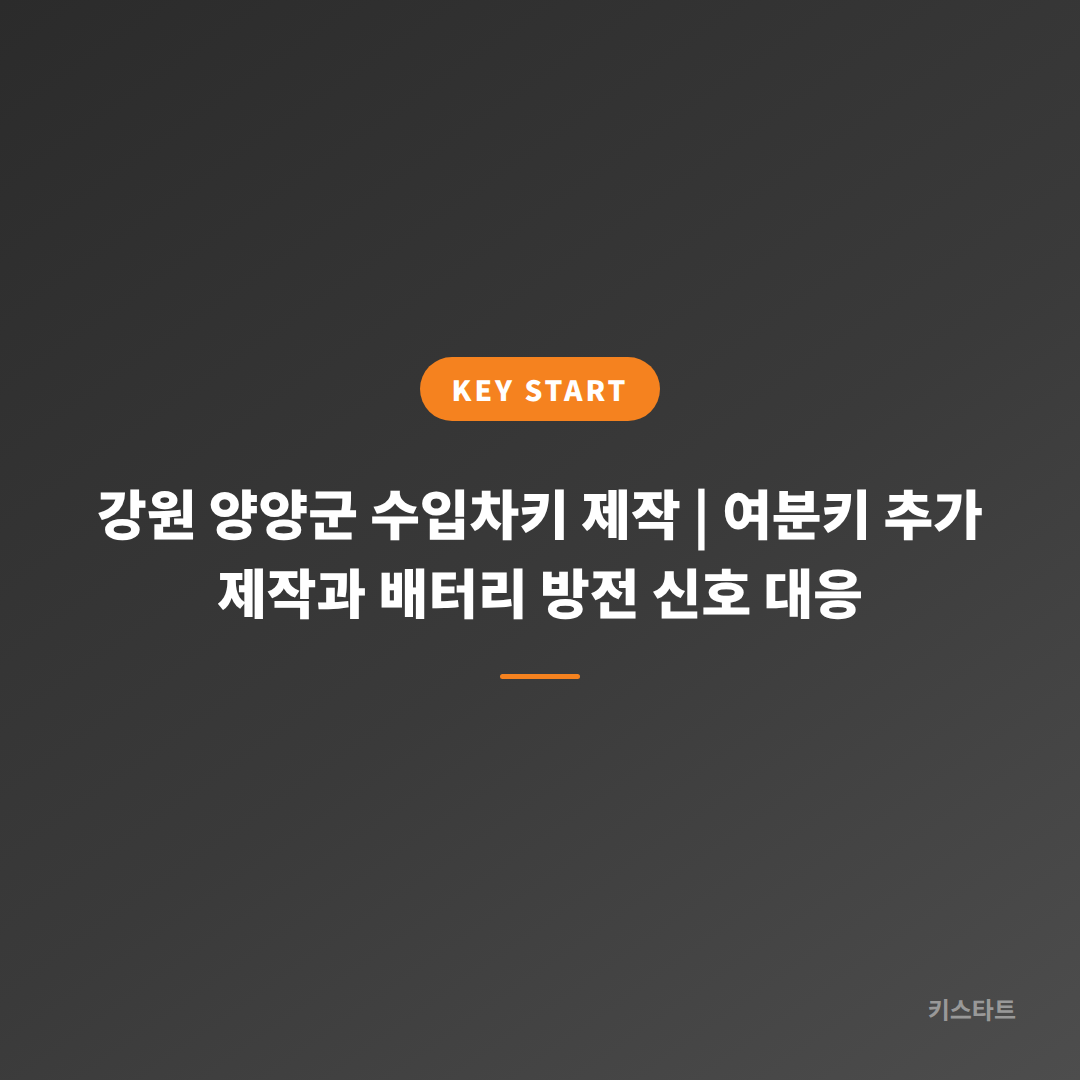 강원 양양군 수입차키 제작 | 여분키 추가 제작과 배터리 방전 신호 대응
