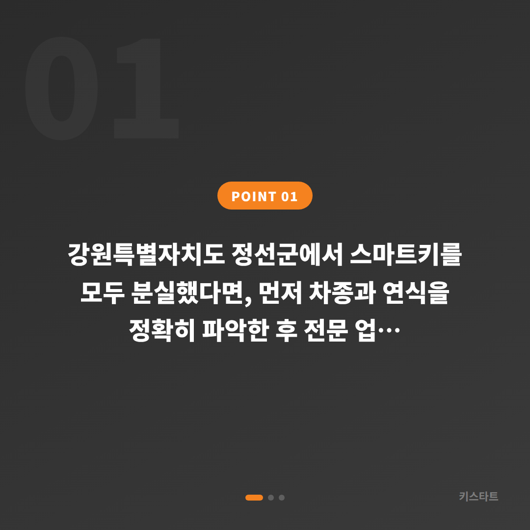 강원특별자치도 정선군 차키분실 후 스마트키 제작, 필요한 정보와 절차 - 상황 요약
