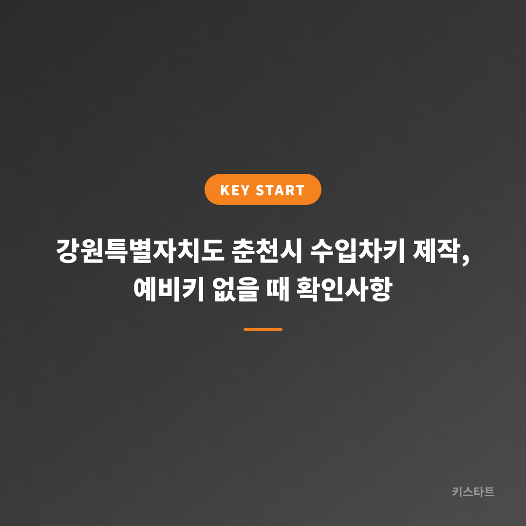 강원특별자치도 춘천시 수입차키 제작, 예비키 없을 때 확인사항