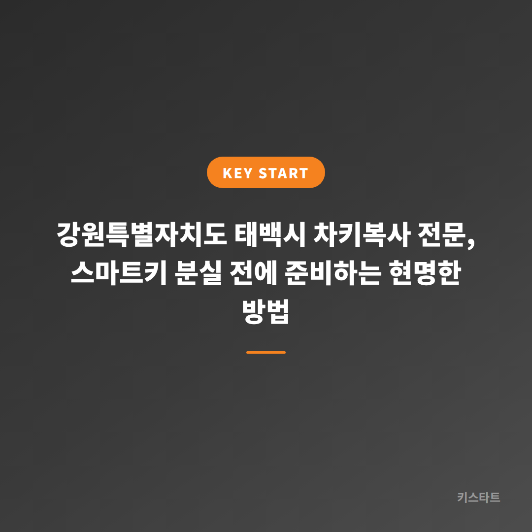 강원특별자치도 태백시 차키복사 전문, 스마트키 분실 전에 준비하는 현명한 방법
