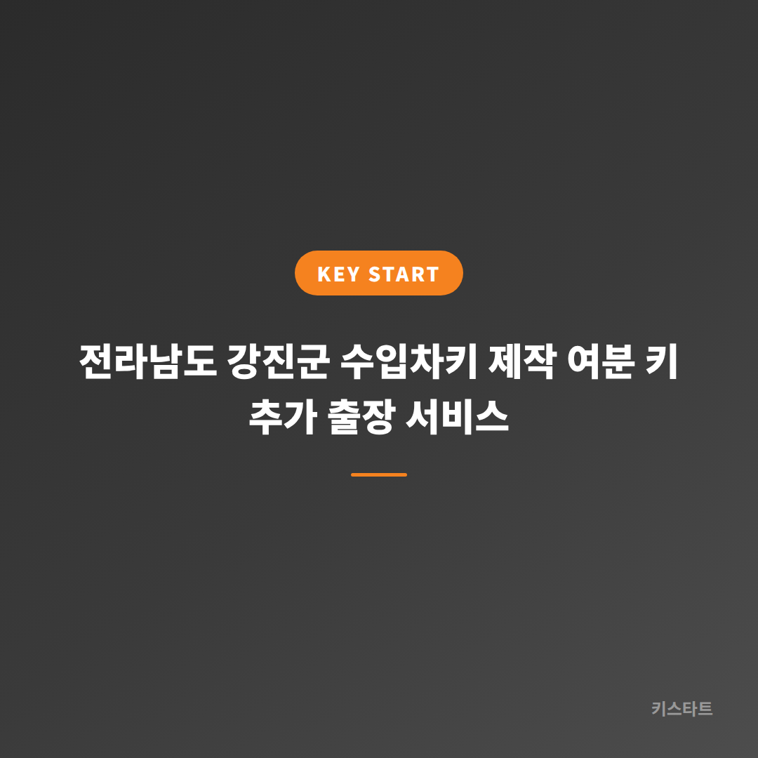 전라남도 강진군 수입차키 제작 여분 키 추가 출장 서비스 대표 이미지