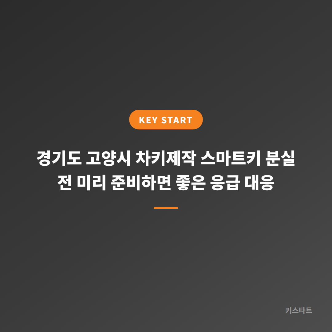 경기도 고양시 차키제작 스마트키 분실 전 미리 준비하면 좋은 응급 대응