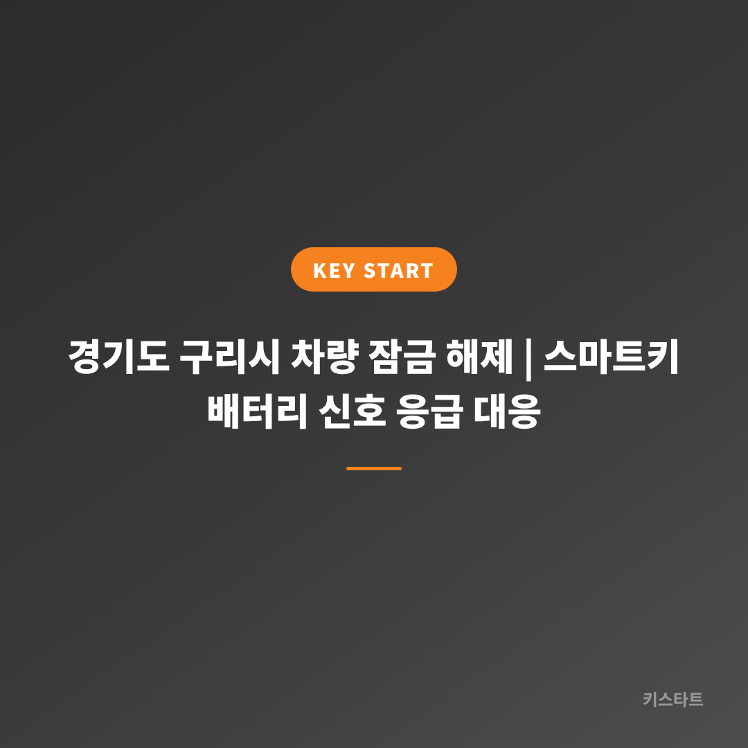 경기도 구리시 차량 잠금 해제 | 스마트키 배터리 신호 응급 대응