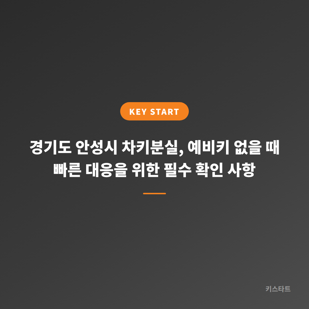경기도 안성시 차키분실, 예비키 없을 때 빠른 대응을 위한 필수 확인 사항