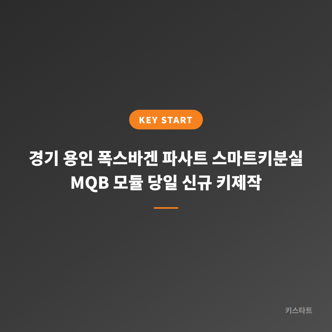 경기 용인 폭스바겐 파사트 스마트키분실 MQB 모듈 당일 신규 키제작 대표 이미지
