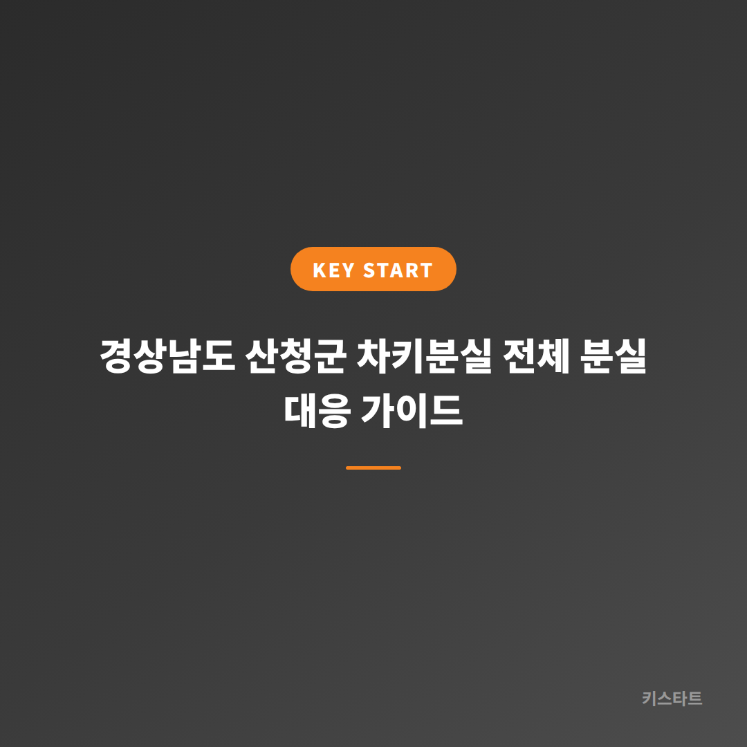경상남도 산청군 차키분실 전체 분실 대응 가이드