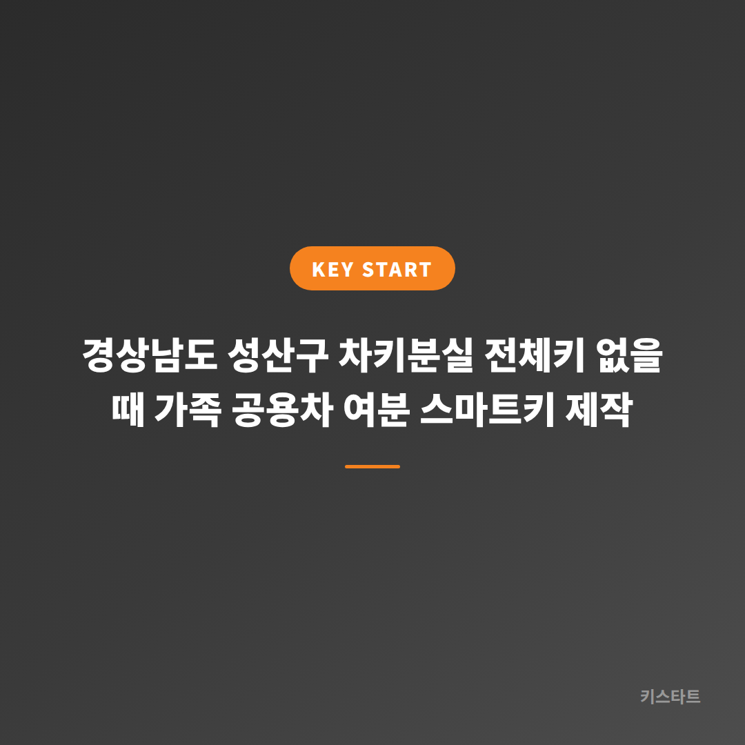 경상남도 성산구 차키분실 전체키 없을 때 가족 공용차 여분 스마트키 제작 대표 이미지