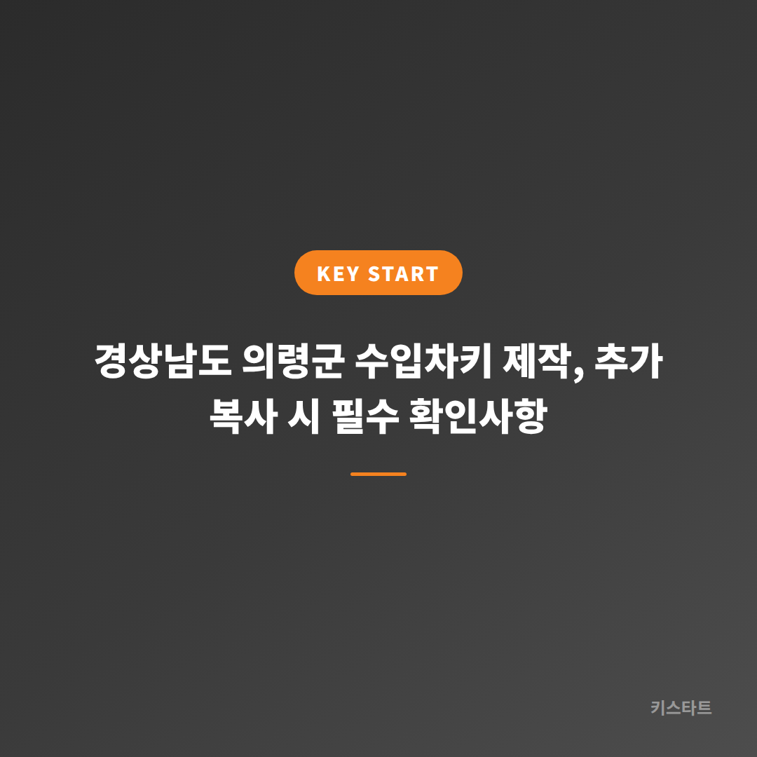 경상남도 의령군 수입차키 제작, 추가 복사 시 필수 확인사항 대표 이미지