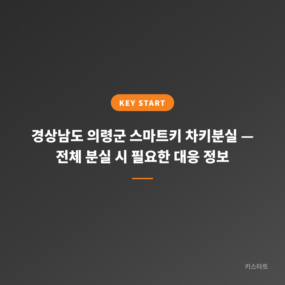 경상남도 의령군 스마트키 차키분실 — 전체 분실 시 필요한 대응 정보