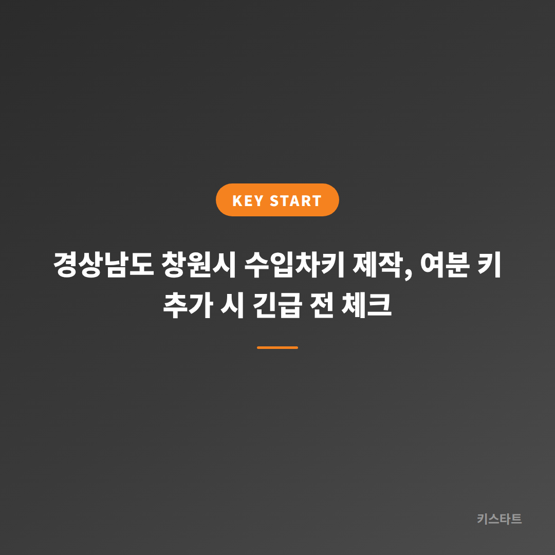 경상남도 창원시 수입차키 제작, 여분 키 추가 시 긴급 전 체크