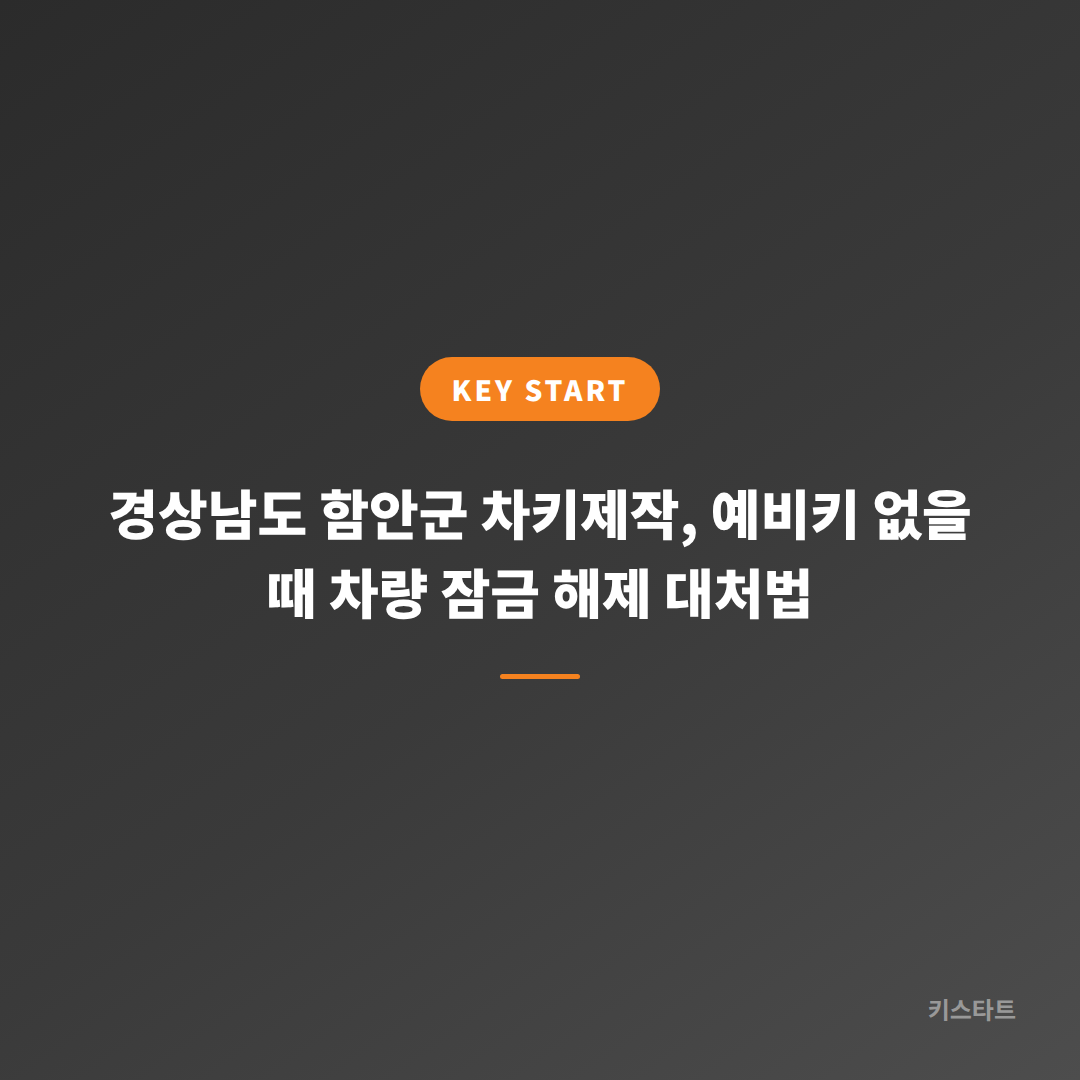 경상남도 함안군 차키제작, 예비키 없을 때 차량 잠금 해제 대처법 대표 이미지