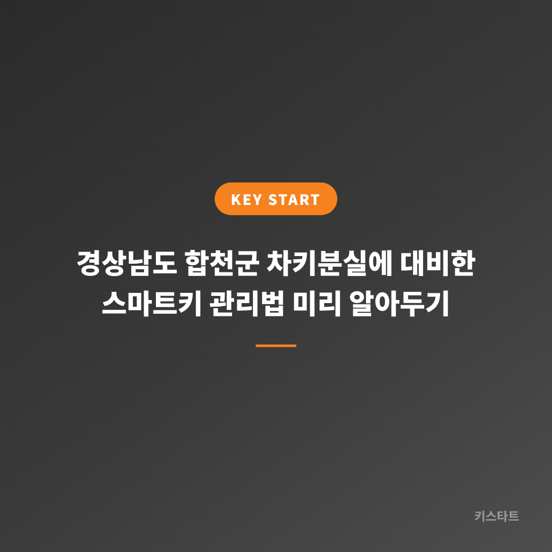 경상남도 합천군 차키분실에 대비한 스마트키 관리법 미리 알아두기