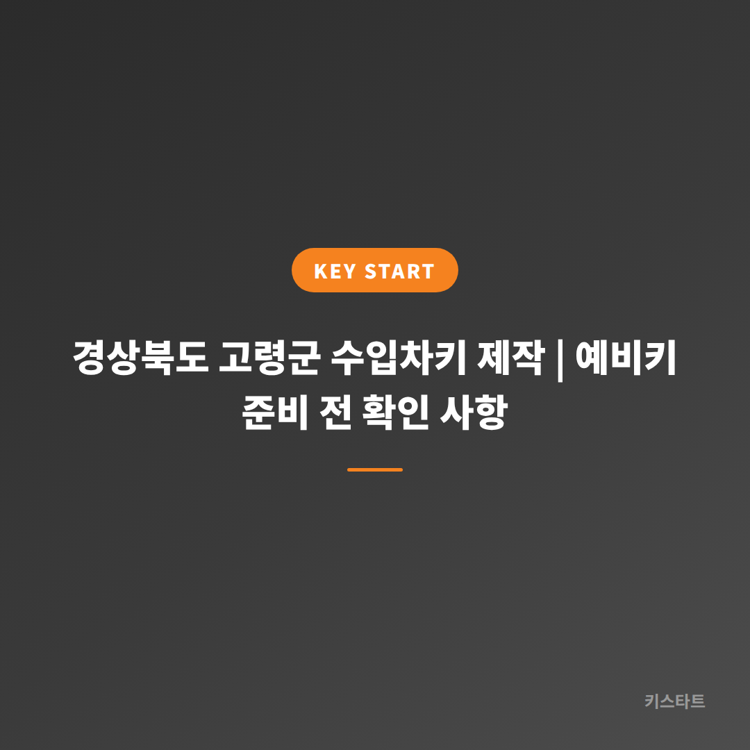 경상북도 고령군 수입차키 제작 | 예비키 준비 전 확인 사항