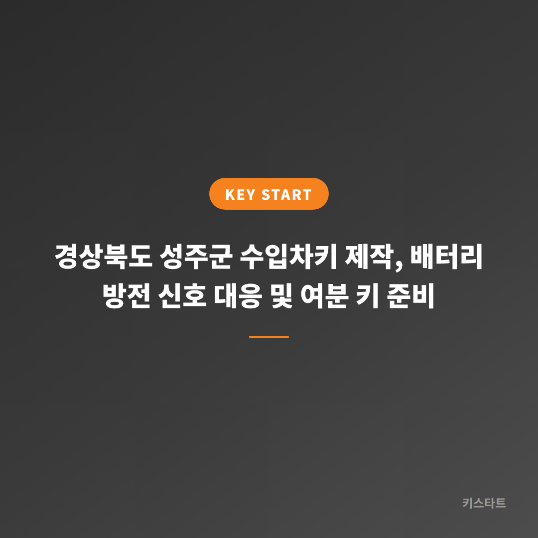 경상북도 성주군 수입차키 제작, 배터리 방전 신호 대응 및 여분 키 준비