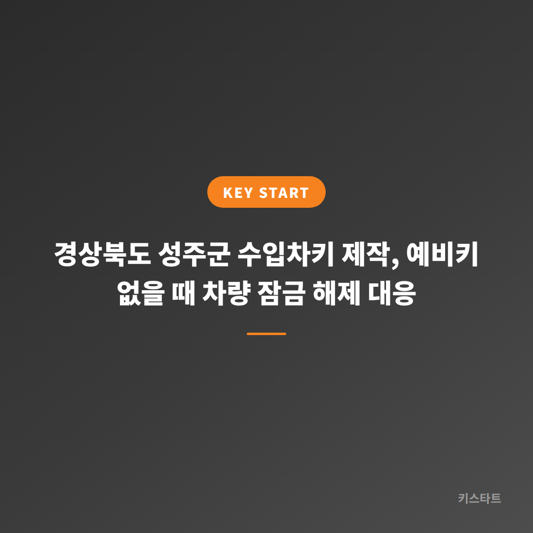 경상북도 성주군 수입차키 제작, 예비키 없을 때 차량 잠금 해제 대응