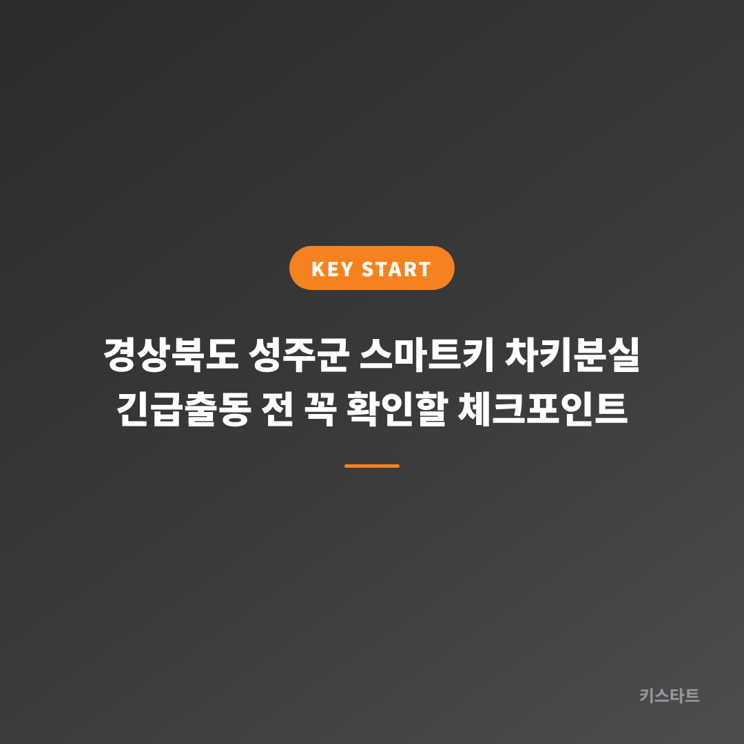 경상북도 성주군 스마트키 차키분실 긴급출동 전 꼭 확인할 체크포인트 대표 이미지