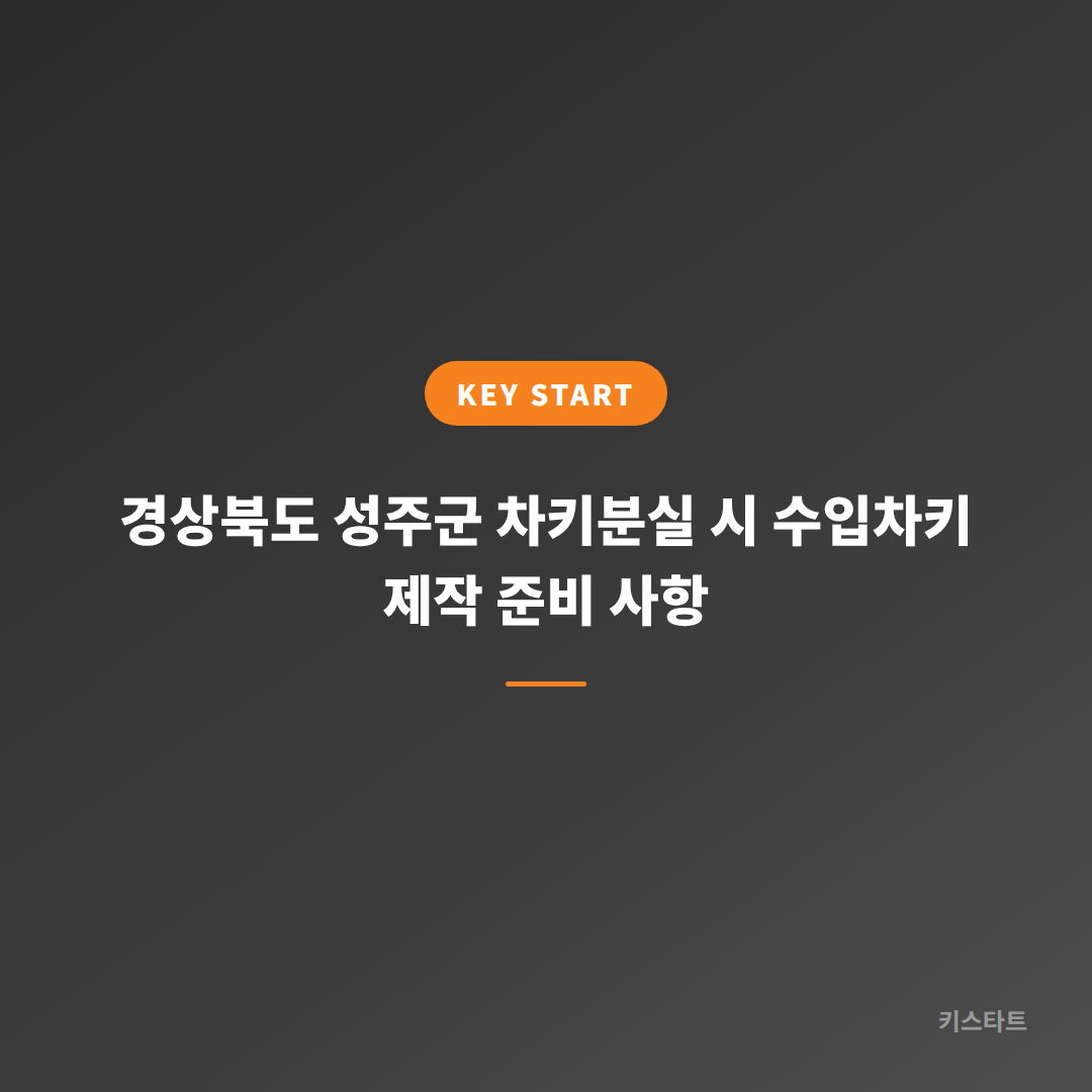 경상북도 성주군 차키분실 시 수입차키 제작 준비 사항