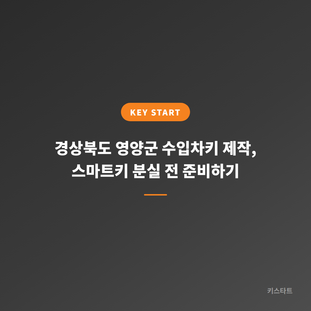 경상북도 영양군 수입차키 제작, 스마트키 분실 전 준비하기