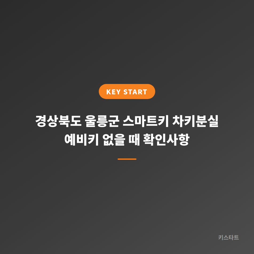 경상북도 울릉군 스마트키 차키분실 예비키 없을 때 확인사항