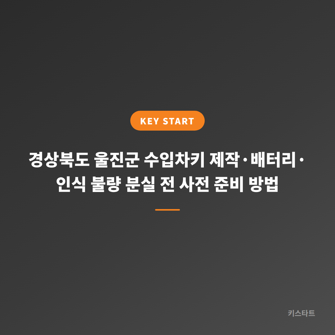 경상북도 울진군 수입차키 제작·배터리·인식 불량 분실 전 사전 준비 방법 대표 이미지