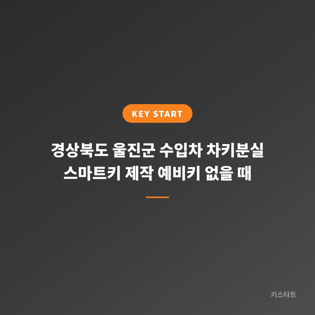 경상북도 울진군 수입차 차키분실 스마트키 제작 예비키 없을 때