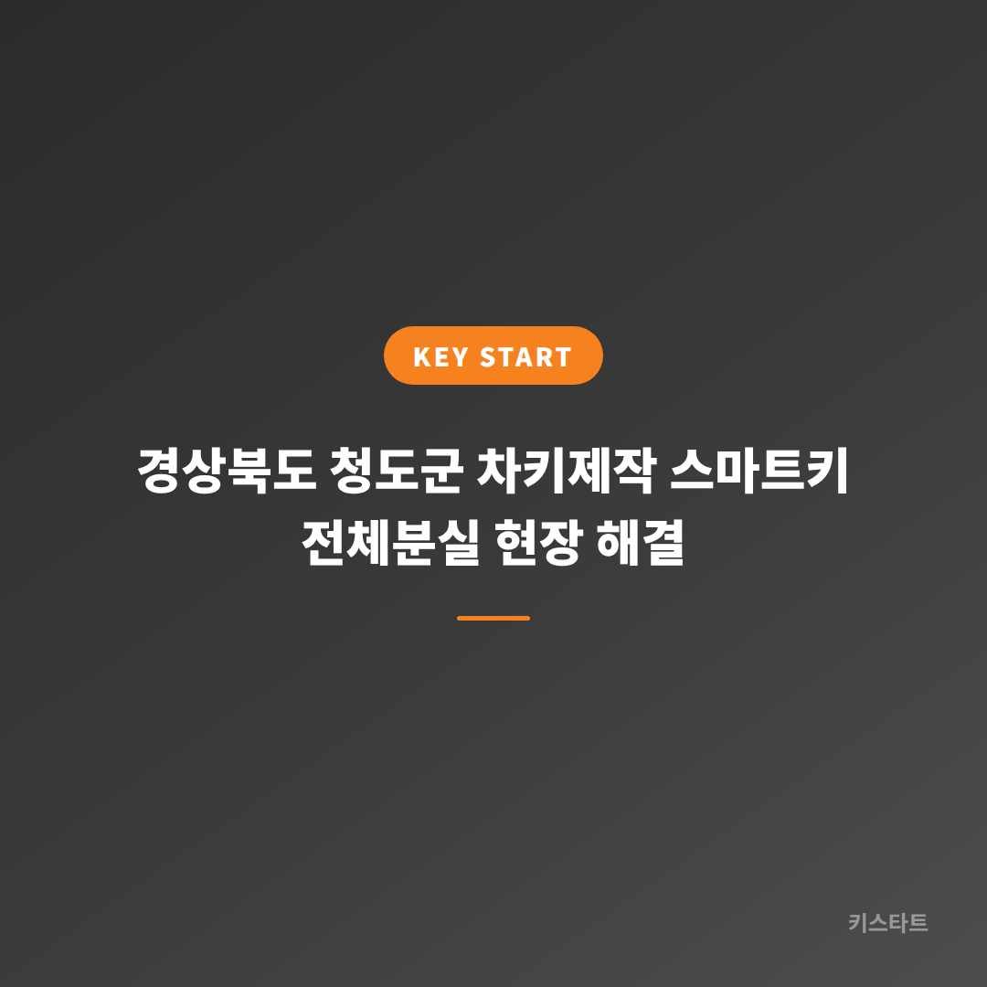 경상북도 청도군 차키제작 스마트키 전체분실 현장 해결