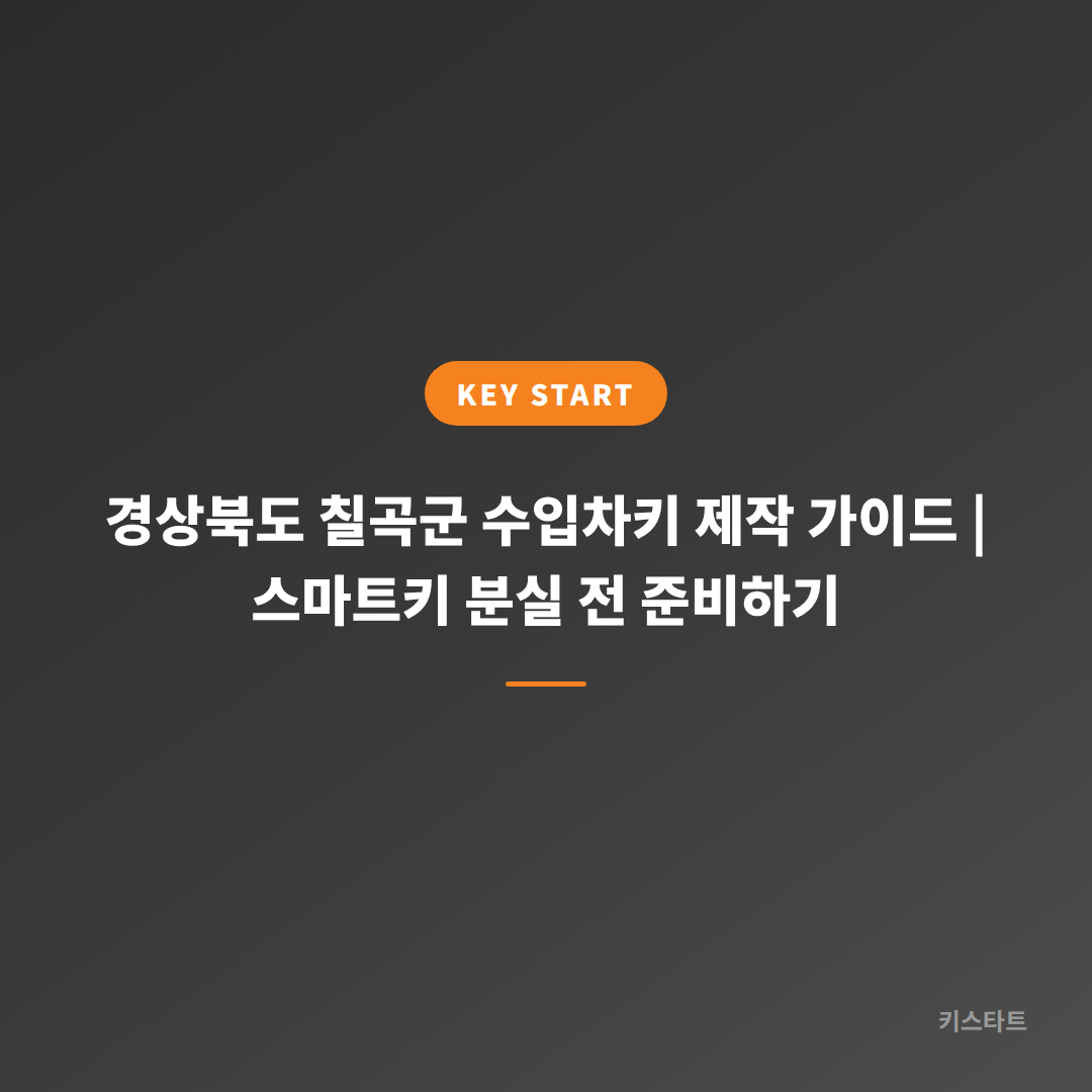 경상북도 칠곡군 수입차키 제작 가이드 | 스마트키 분실 전 준비하기