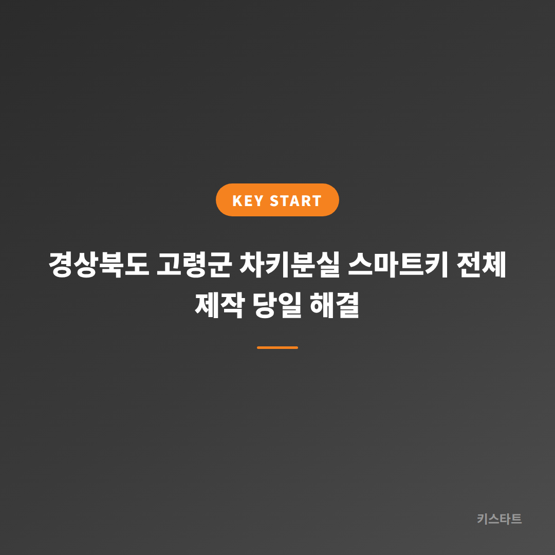 경상북도 고령군 차키분실 스마트키 전체 제작 당일 해결
