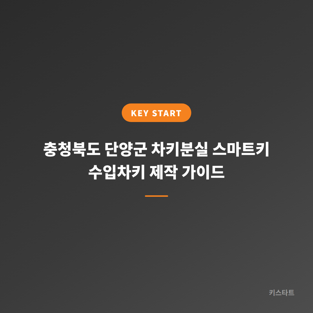 충청북도 단양군 차키분실 스마트키 수입차키 제작 가이드