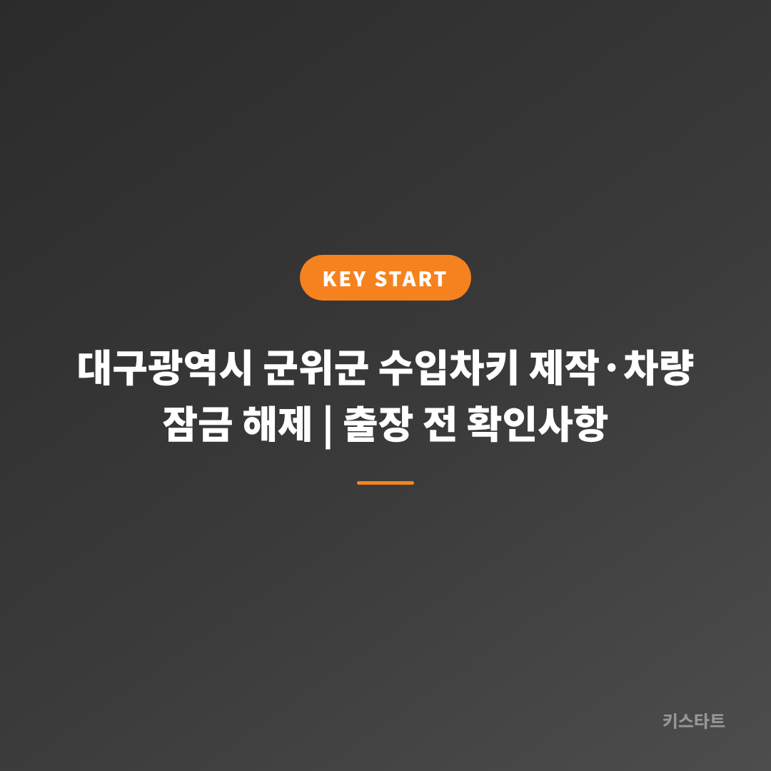 대구광역시 군위군 수입차키 제작·차량 잠금 해제 | 출장 전 확인사항