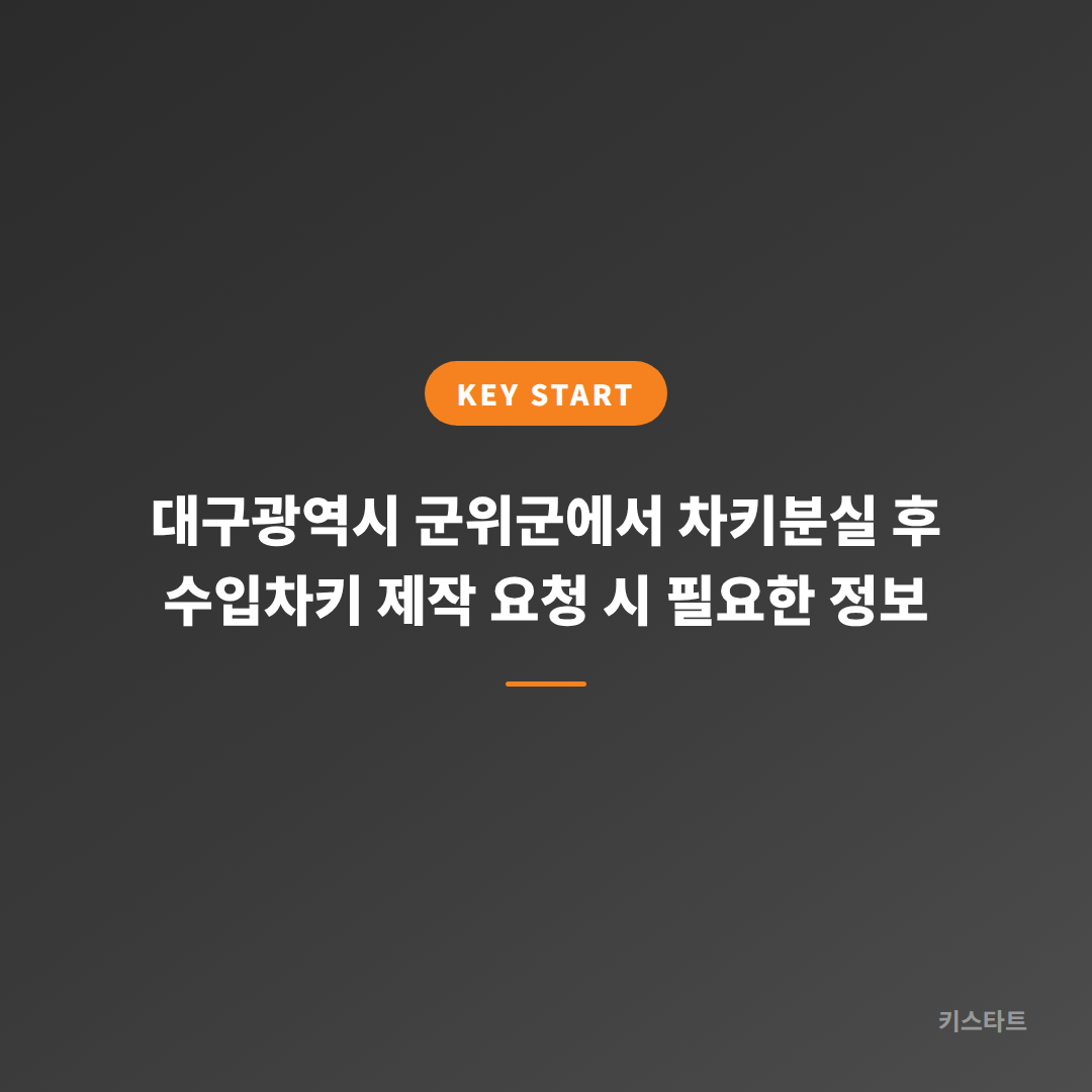 대구광역시 군위군에서 차키분실 후 수입차키 제작 요청 시 필요한 정보