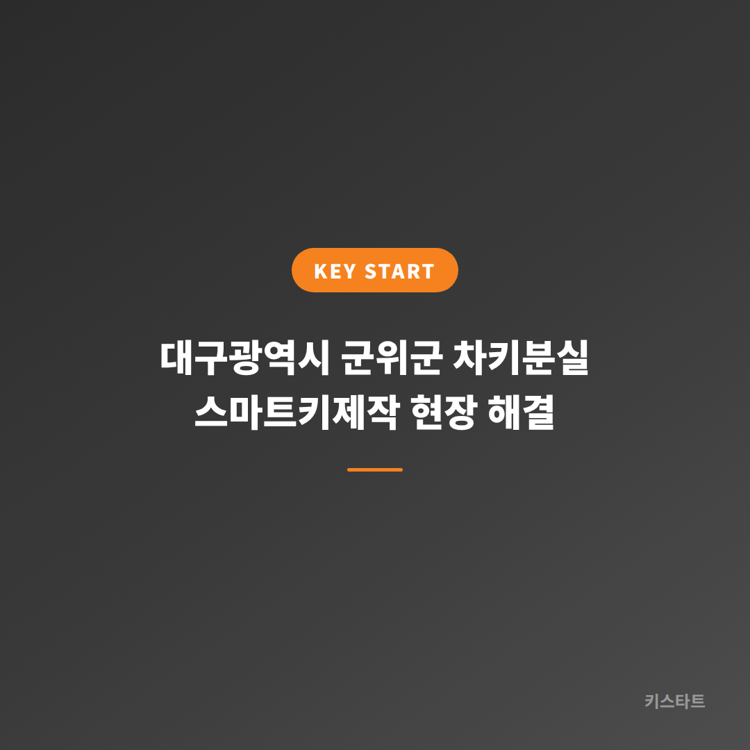 대구광역시 군위군 차키분실 스마트키제작 현장 해결