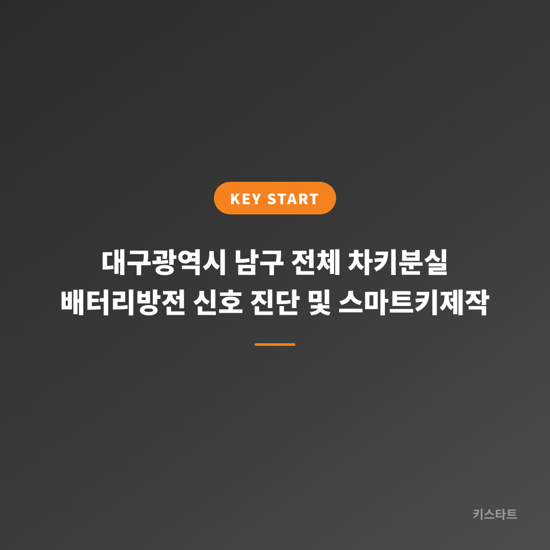 대구광역시 남구 전체 차키분실 배터리방전 신호 진단 및 스마트키제작 대표 이미지
