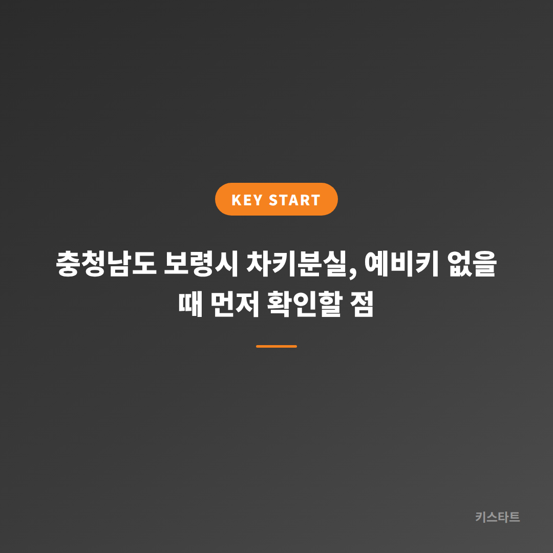 충청남도 보령시 차키분실, 예비키 없을 때 먼저 확인할 점