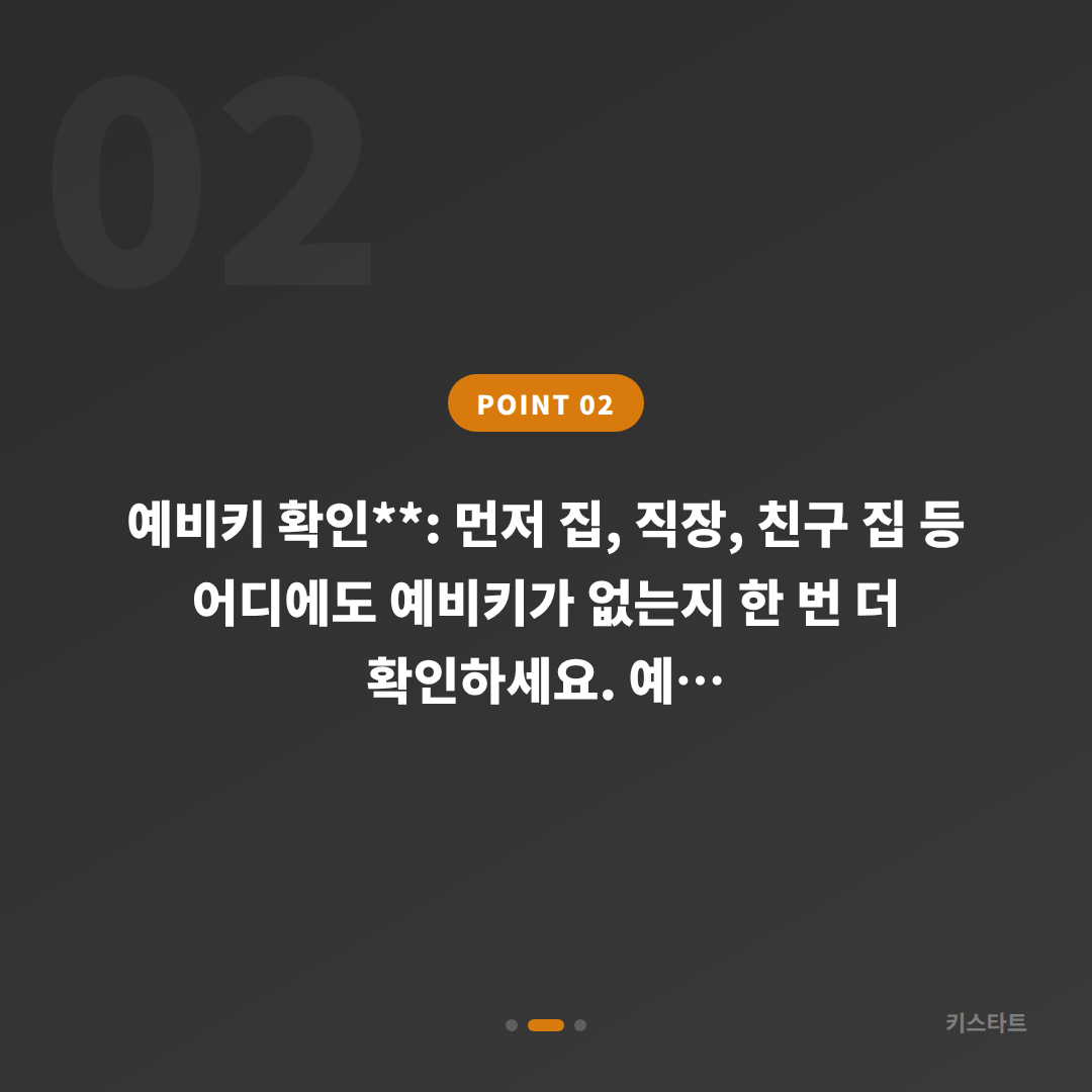 부산 동구 수입차키 분실, 예비키 없을 때 먼저 확인할 점 - 현장 체크 포인트