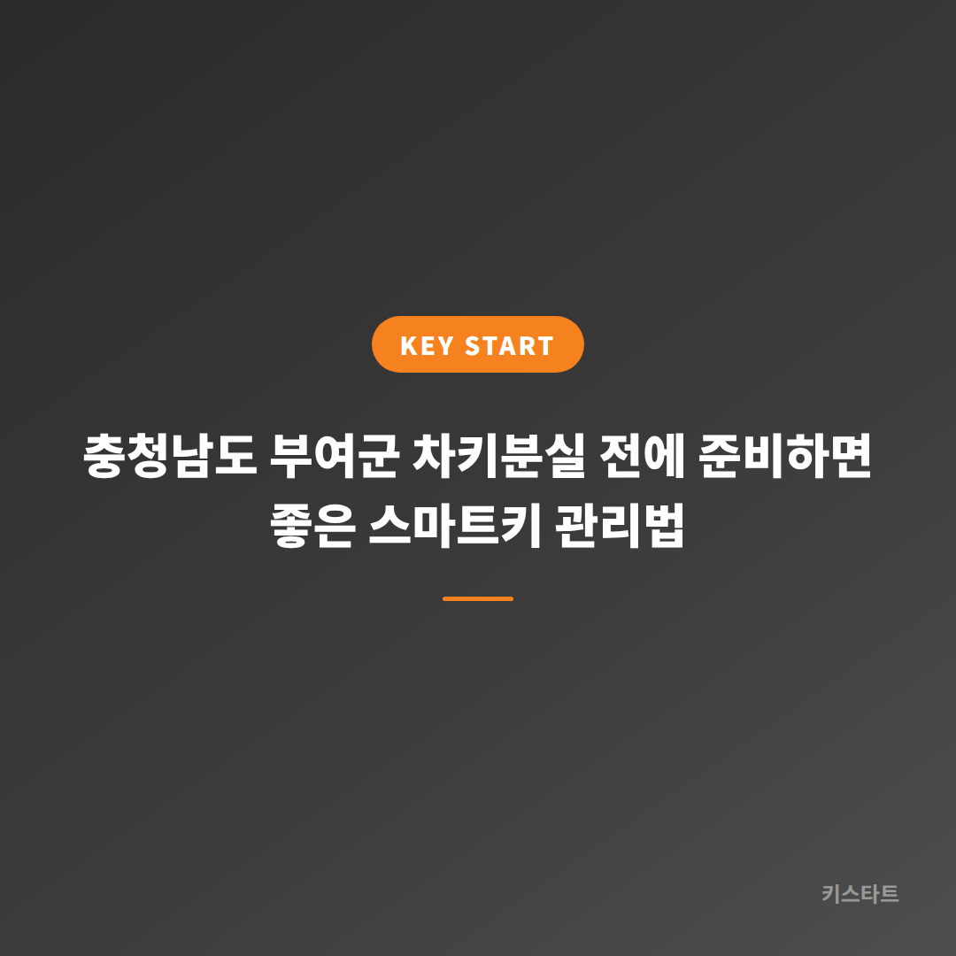 충청남도 부여군 차키분실 전에 준비하면 좋은 스마트키 관리법