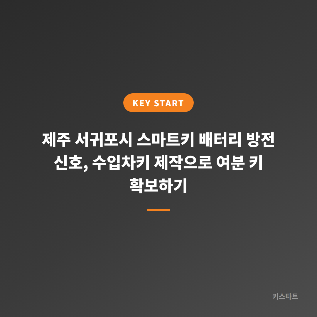 제주 서귀포시 스마트키 배터리 방전 신호, 수입차키 제작으로 여분 키 확보하기