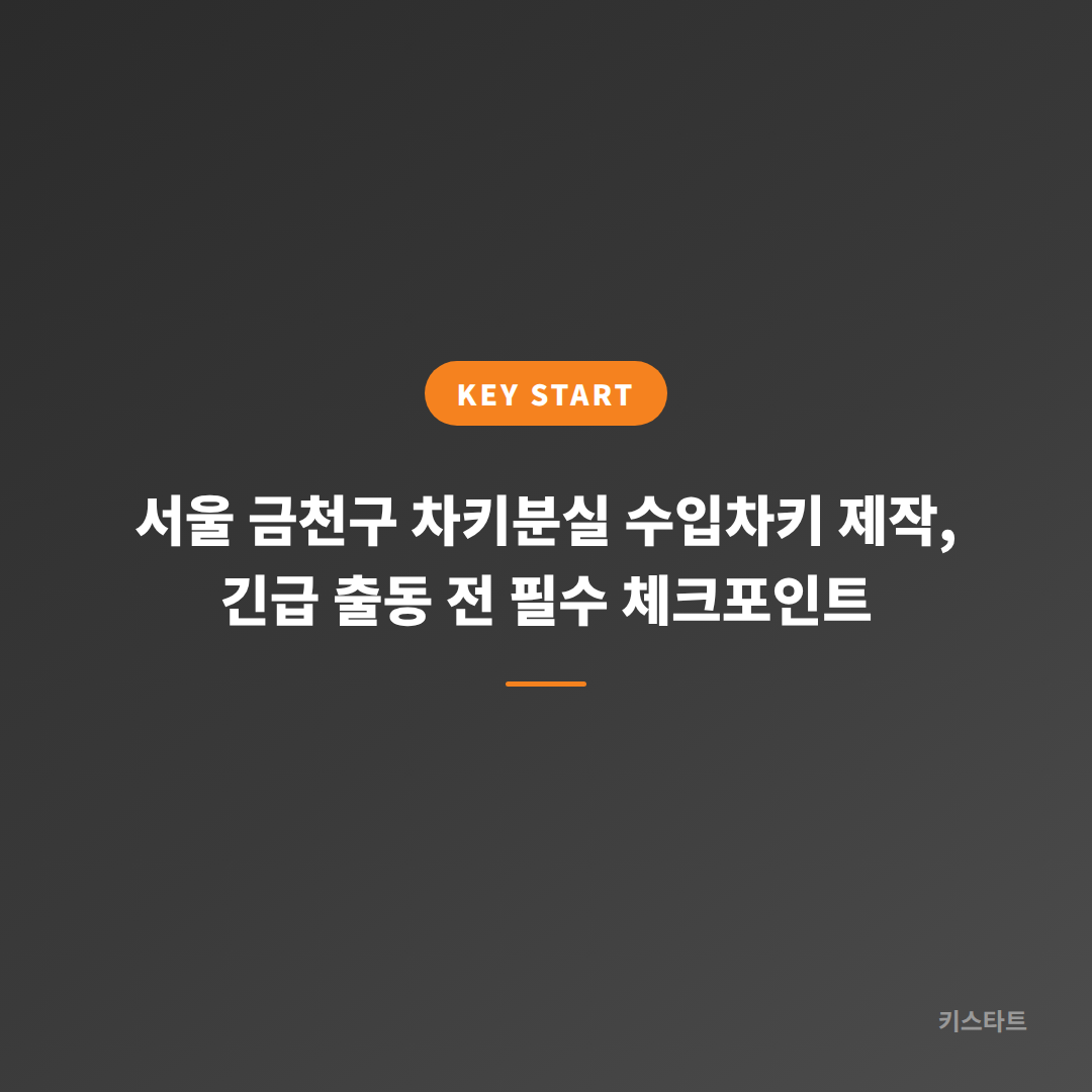 서울 금천구 차키분실 수입차키 제작, 긴급 출동 전 필수 체크포인트