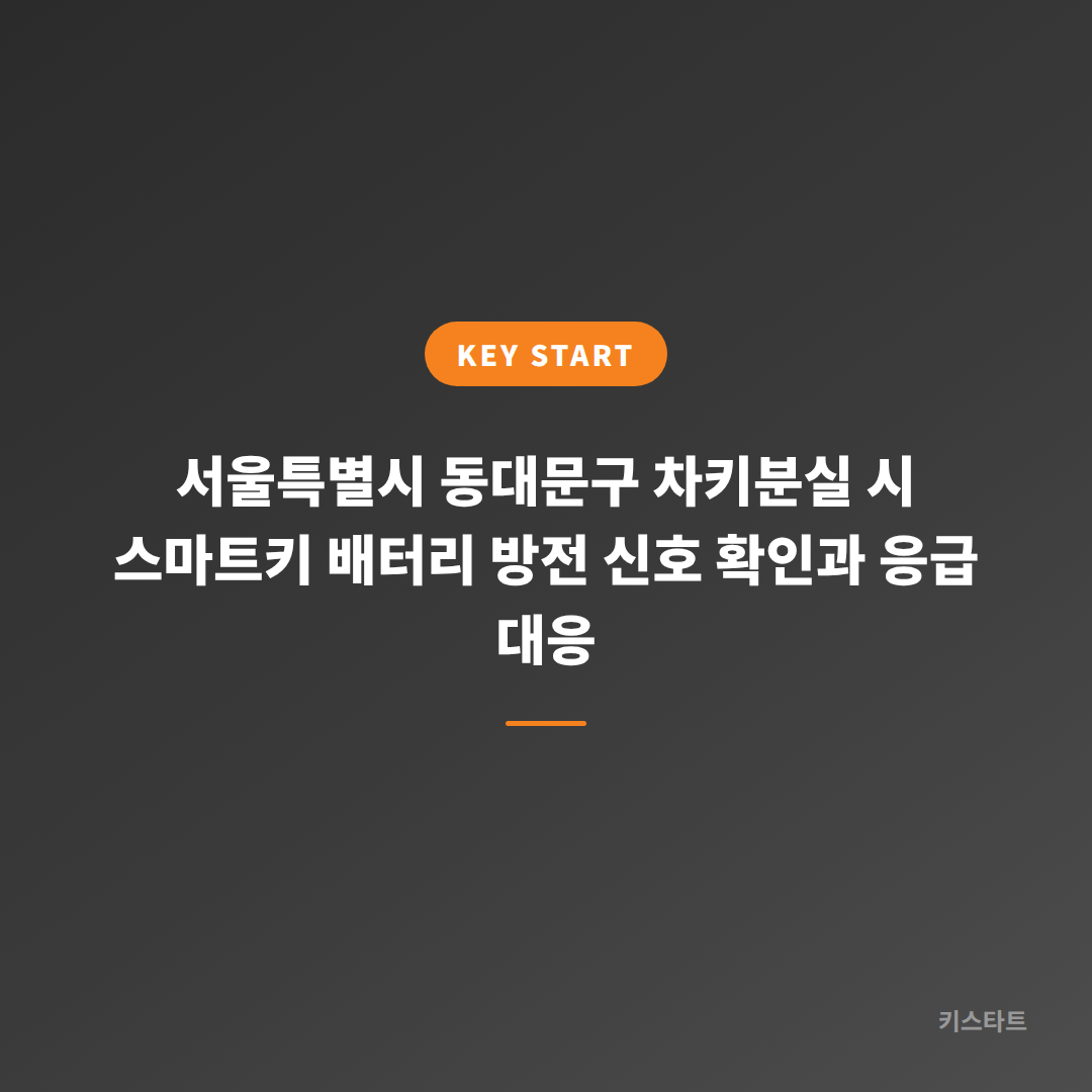 서울특별시 동대문구 차키분실 시 스마트키 배터리 방전 신호 확인과 응급 대응