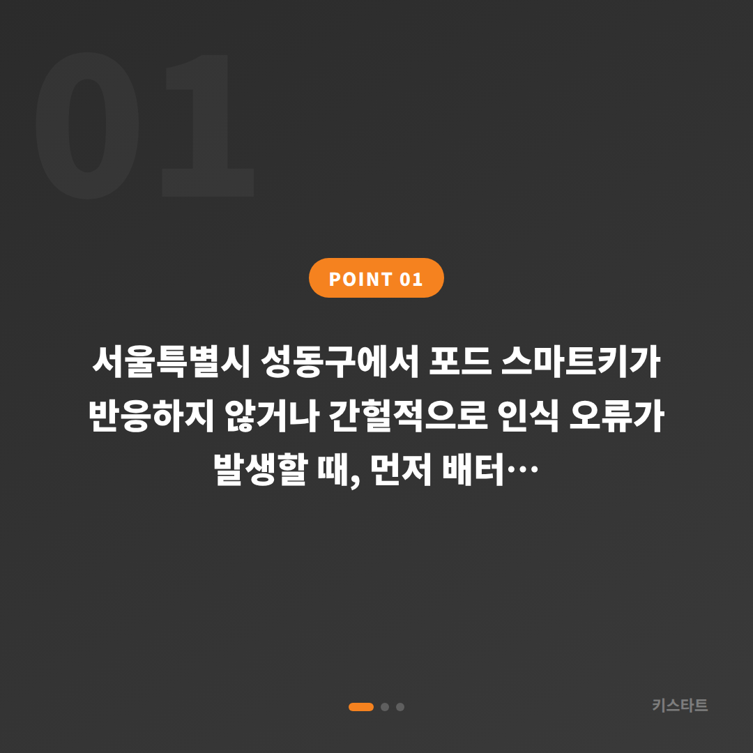 서울특별시 성동구 포드 스마트키 배터리·인식 불량 수입차키 제작 - 상황 요약