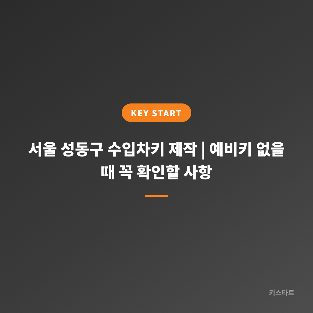 서울 성동구 수입차키 제작 | 예비키 없을 때 꼭 확인할 사항 대표 이미지