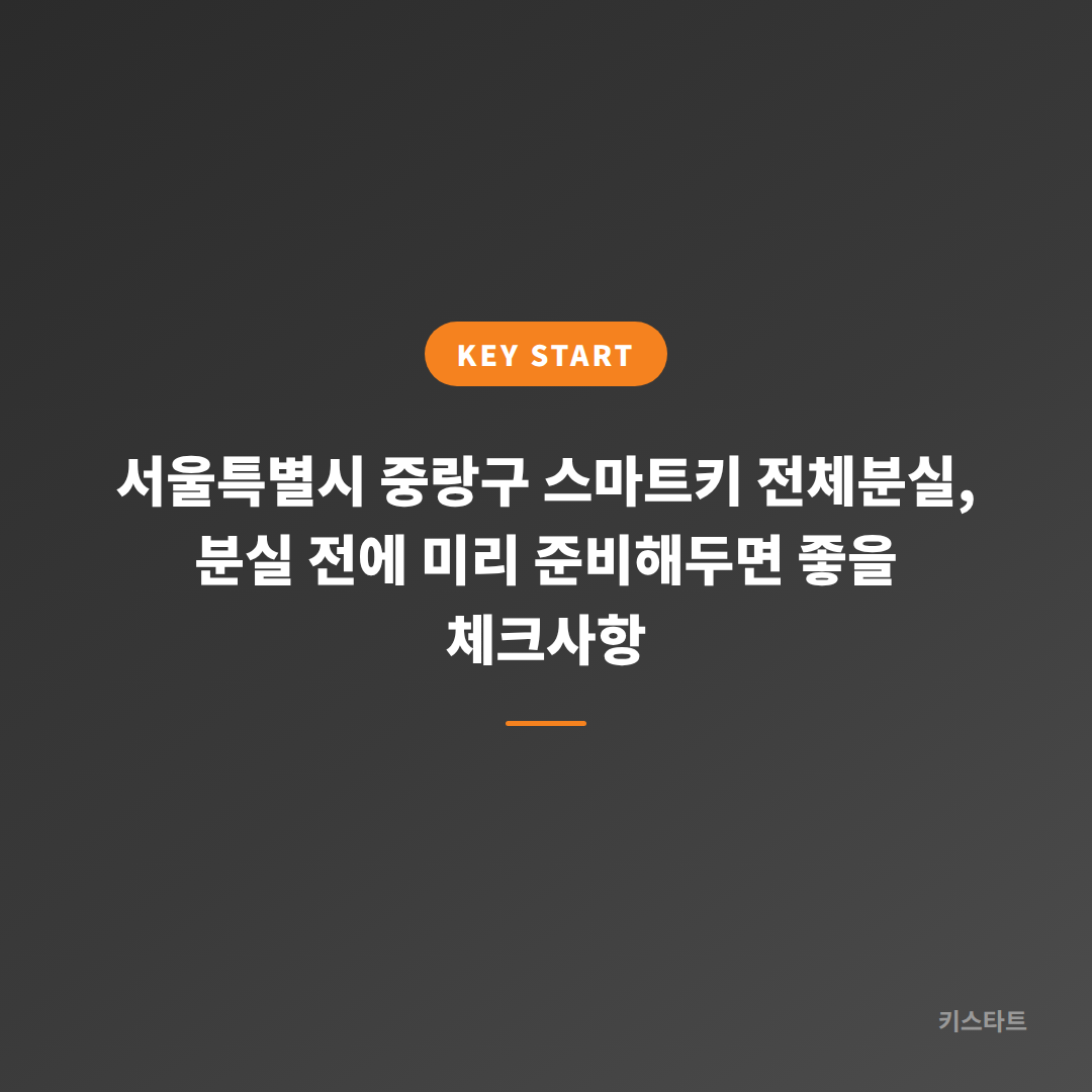 서울특별시 중랑구 스마트키 전체분실, 분실 전에 미리 준비해두면 좋을 체크사항 대표 이미지