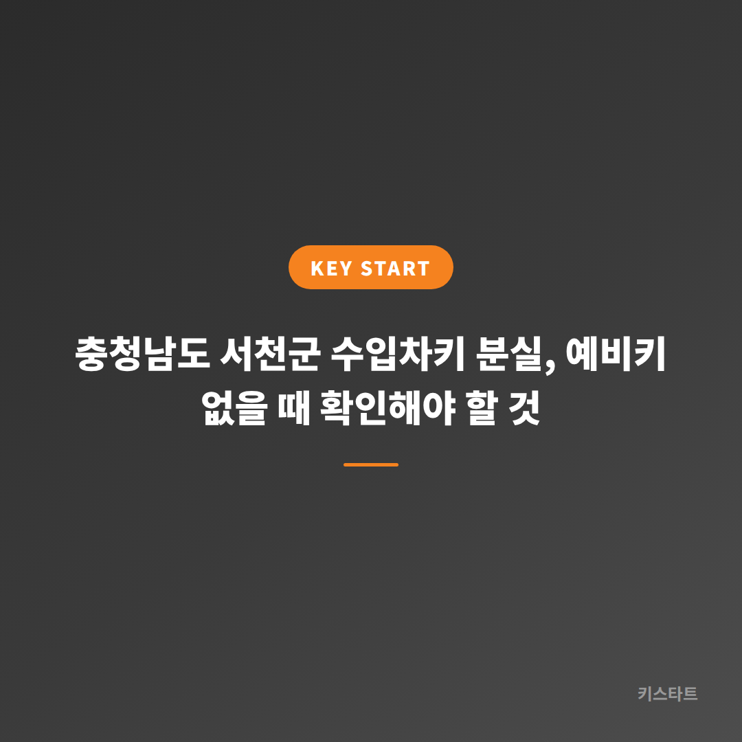 충청남도 서천군 수입차키 분실, 예비키 없을 때 확인해야 할 것