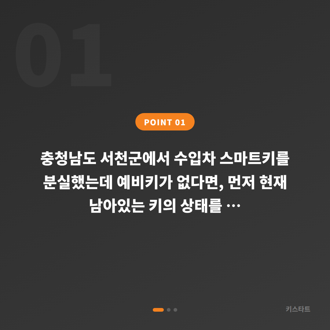 충청남도 서천군 수입차키 분실, 예비키 없을 때 확인해야 할 것 - 상황 요약