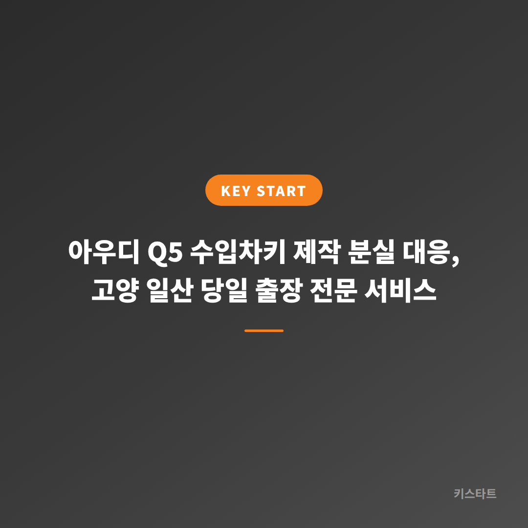 아우디 Q5 수입차키 제작 분실 대응, 고양 일산 당일 출장 전문 서비스 대표 이미지