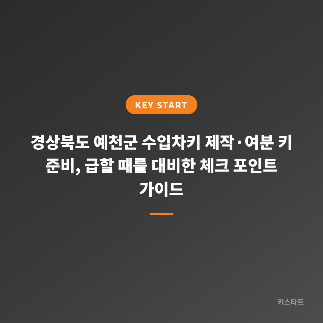 경상북도 예천군 수입차키 제작·여분 키 준비, 급할 때를 대비한 체크 포인트 가이드 대표 이미지