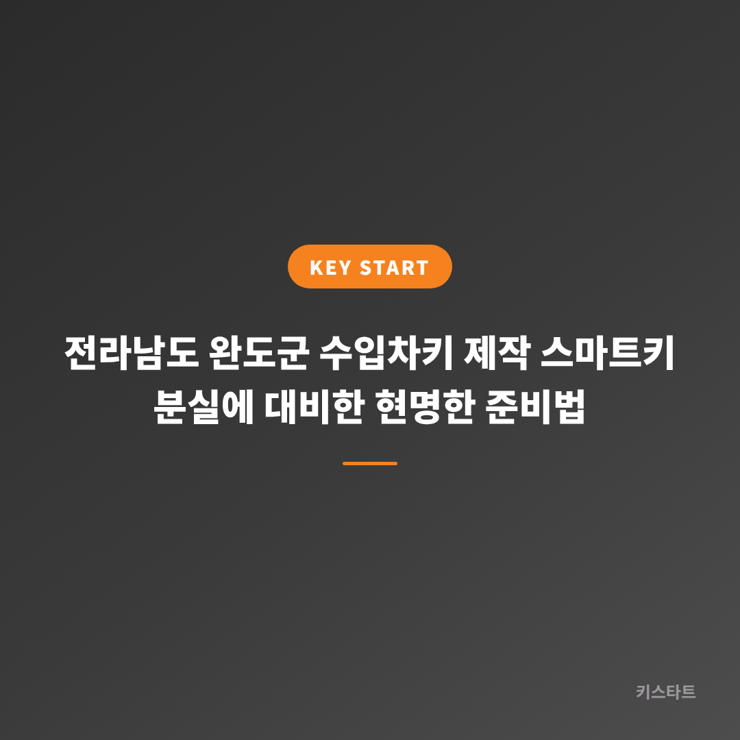 전라남도 완도군 수입차키 제작 스마트키 분실에 대비한 현명한 준비법 대표 이미지