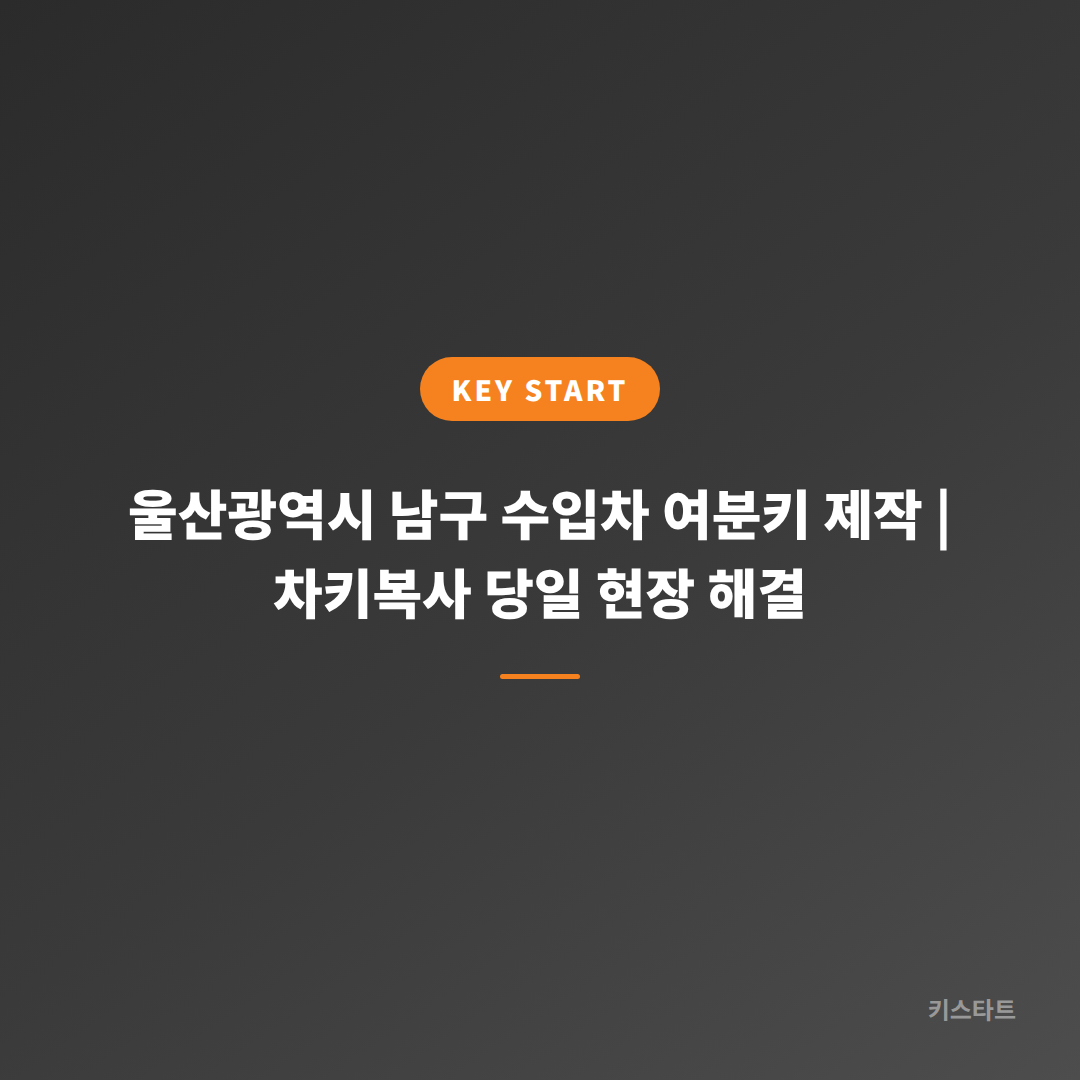 울산광역시 남구 수입차 여분키 제작 | 차키복사 당일 현장 해결