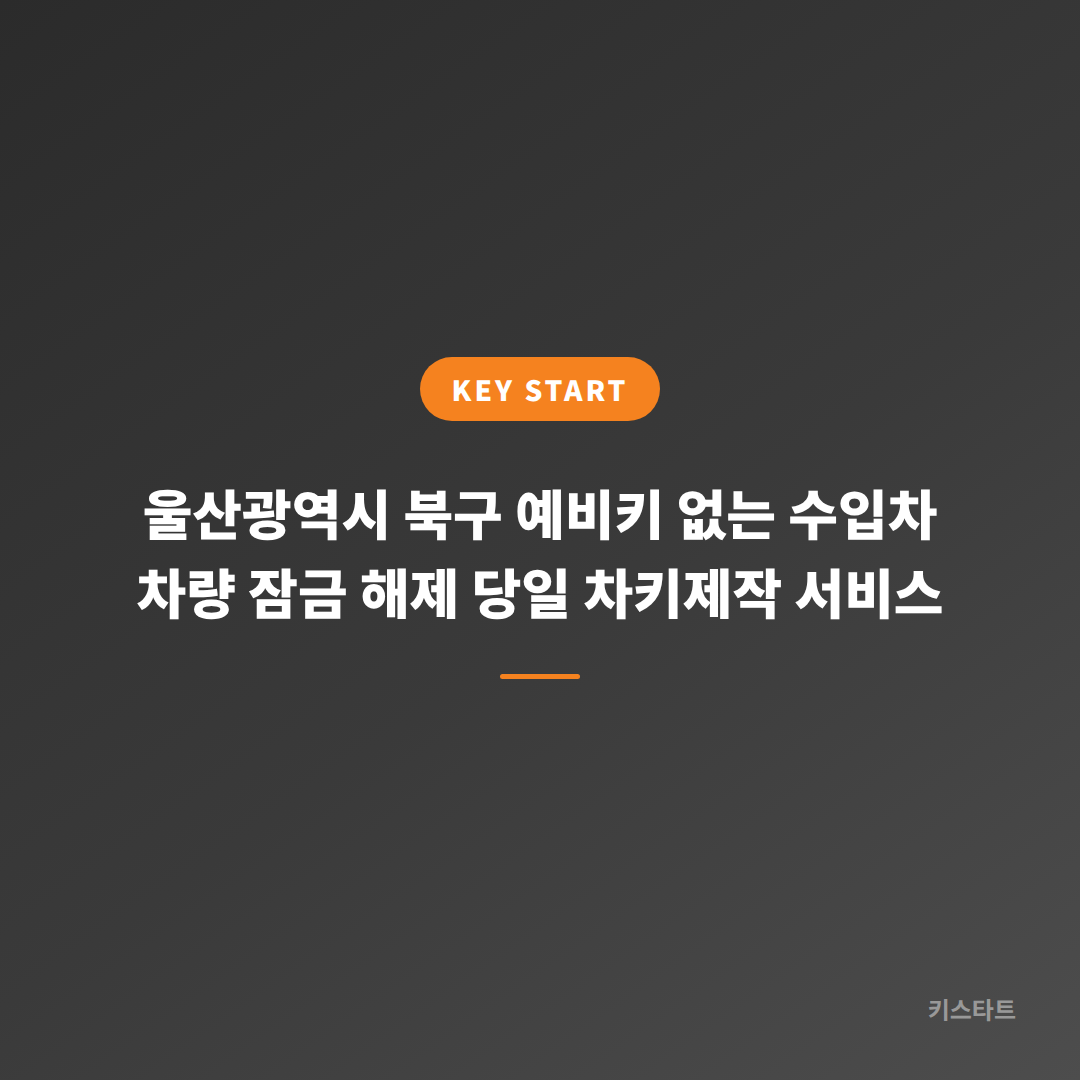 울산광역시 북구 예비키 없는 수입차 차량 잠금 해제 당일 차키제작 서비스